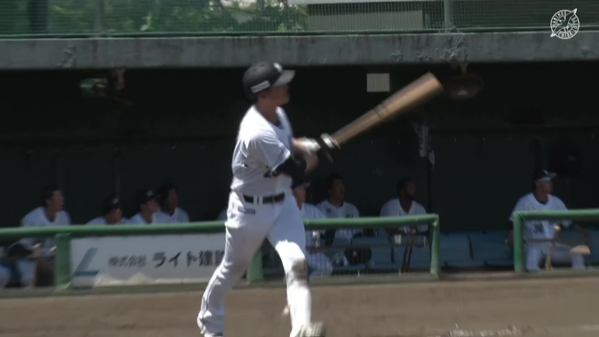 公式】石川慎吾(千葉ロッテ)｜パ・リーグ.com｜無料動画・個人成績