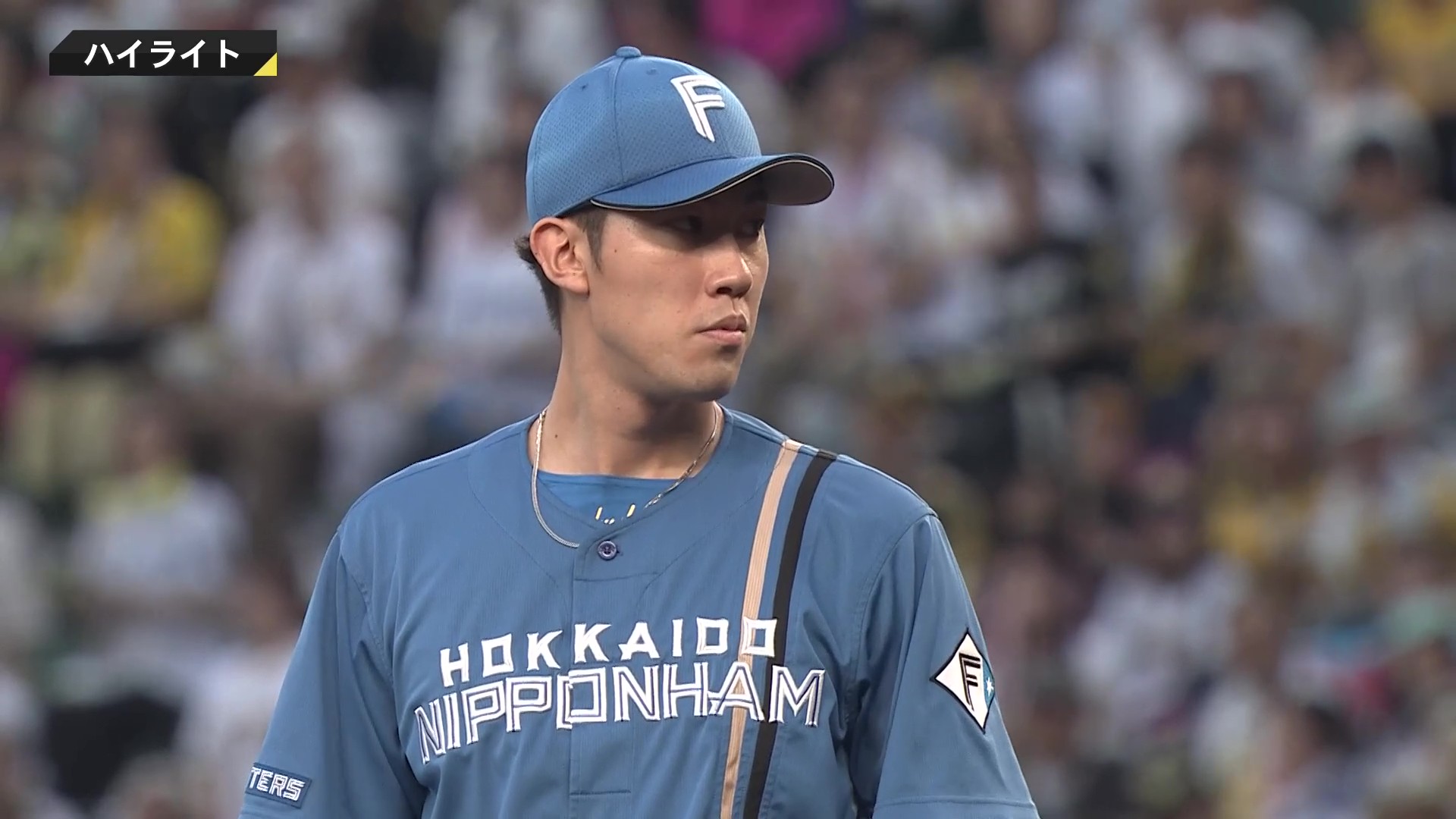 5月28日 阪神タイガース 対 北海道日本ハムファイターズ ハイライト