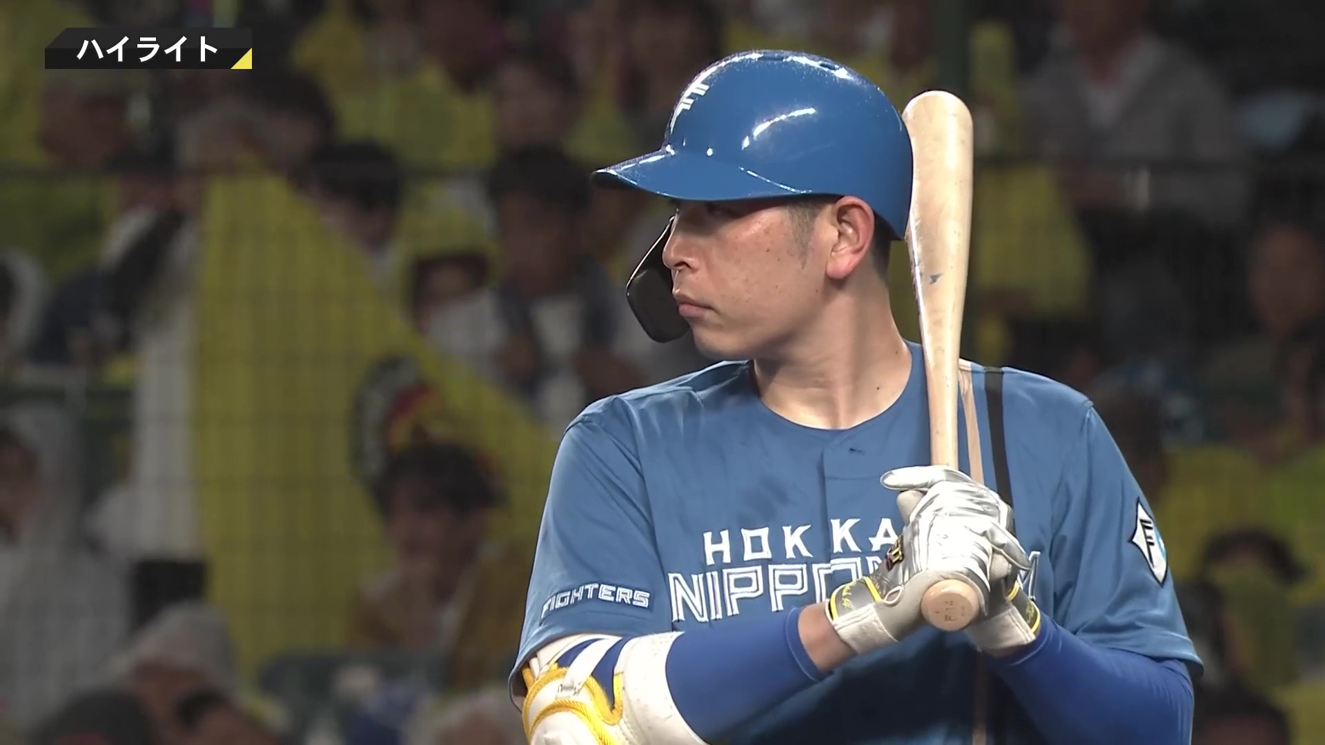 5月27日 阪神タイガース 対 北海道日本ハムファイターズ ハイライト
