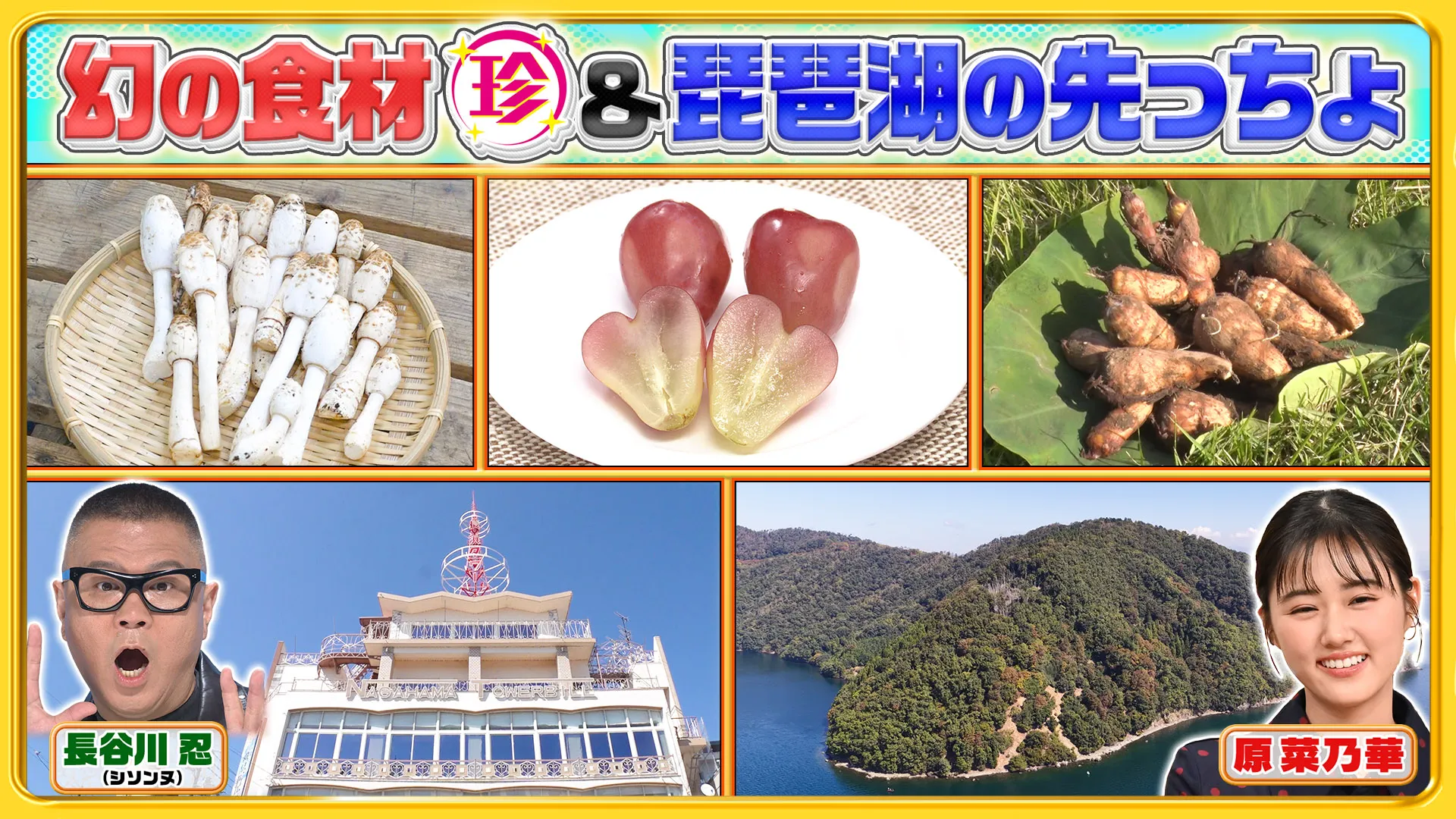 『ポツンと一軒家』なぜ人気？特番の歴史から住人の実態と見逃し配信まで徹底解説
